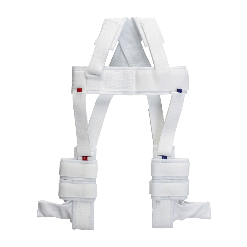 pavlick-harness Pavlick Harness